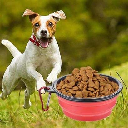 BUFFER® Katlanabilir Kedi Köpek Mama ve Su Kabı Köpek Oyuncağı resmi